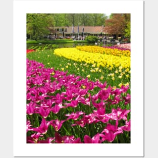 Keukenhof Tulip Festival, Holland Posters and Art